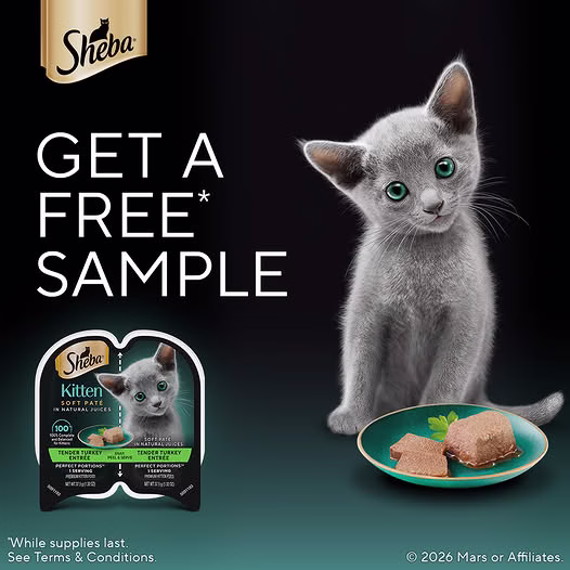 sheba cat food sample