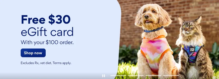 chewy summer 30 off 100 promo