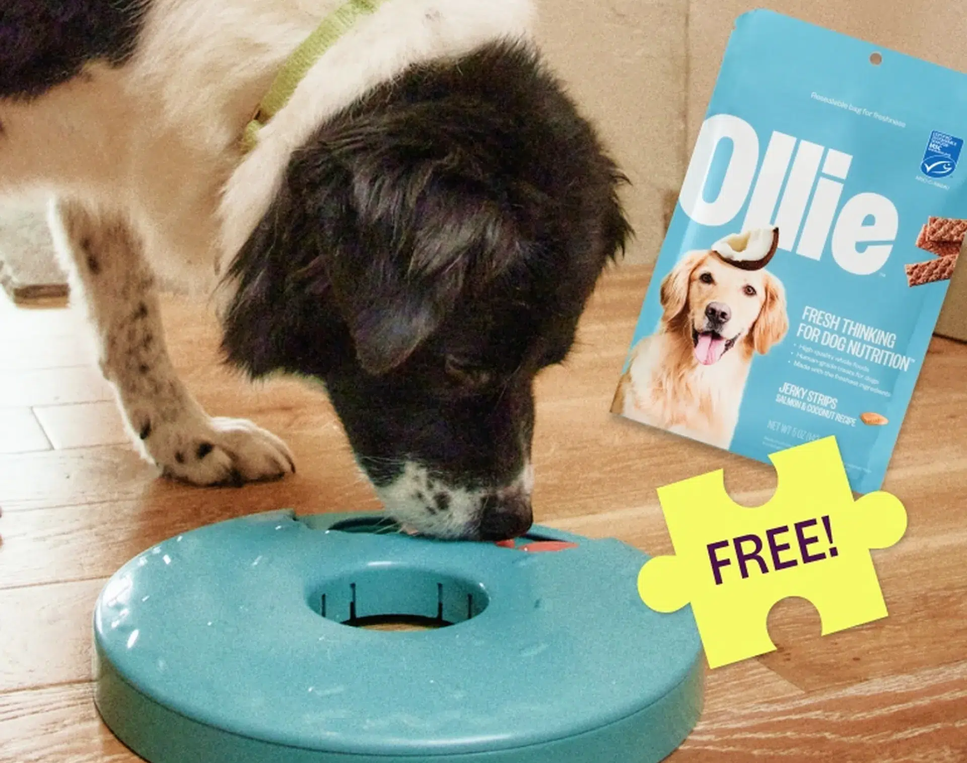 ollie puzzler offer