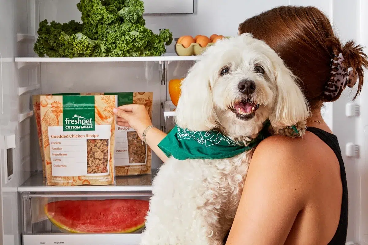 freshpet dog food deal freshpet dog food deal