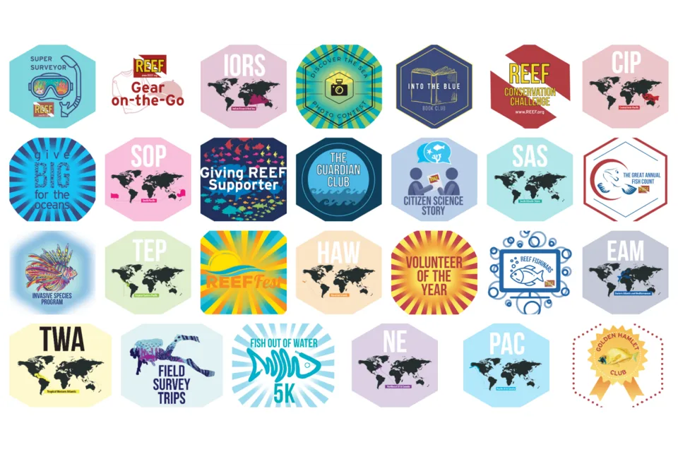 sticker design collage 1440px